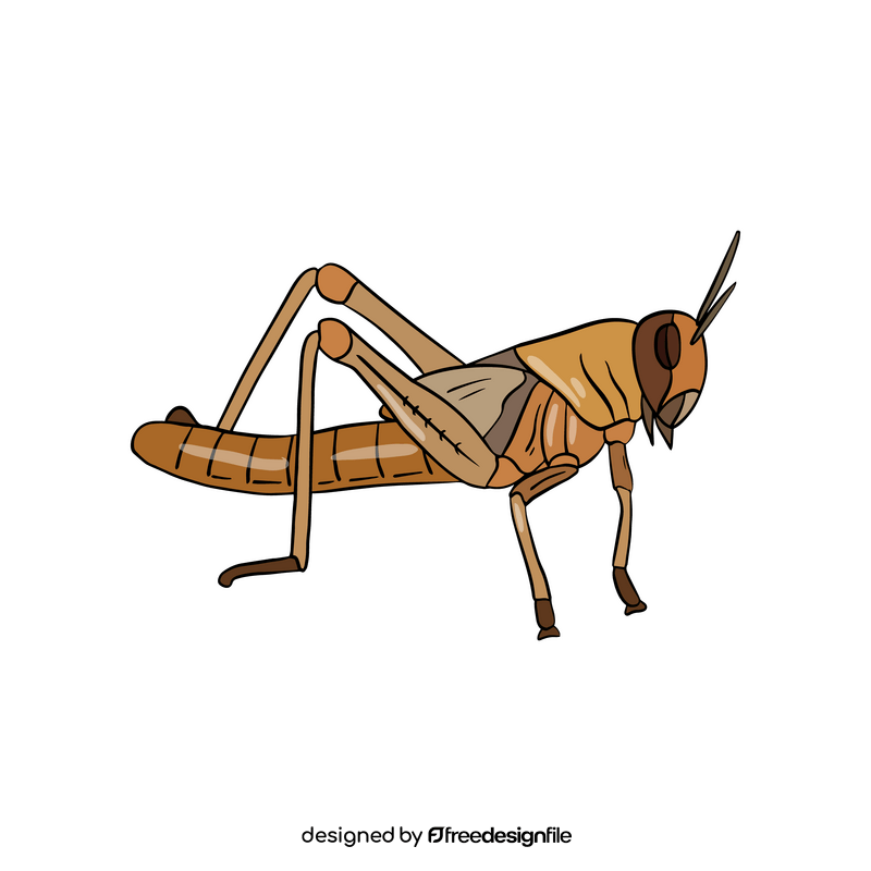Orange locust clipart