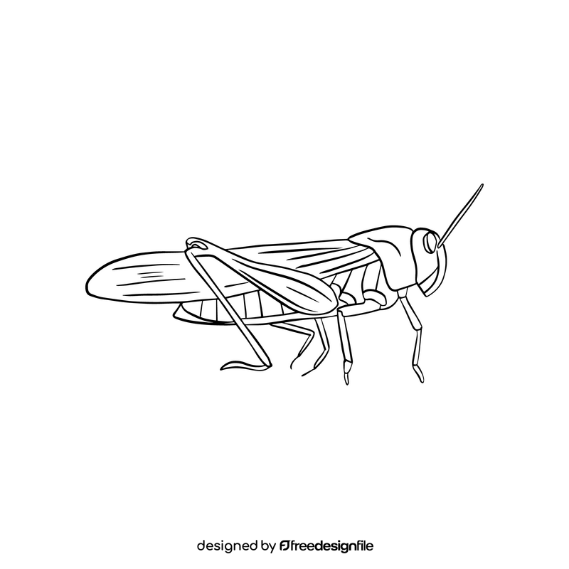Green locust black and white clipart