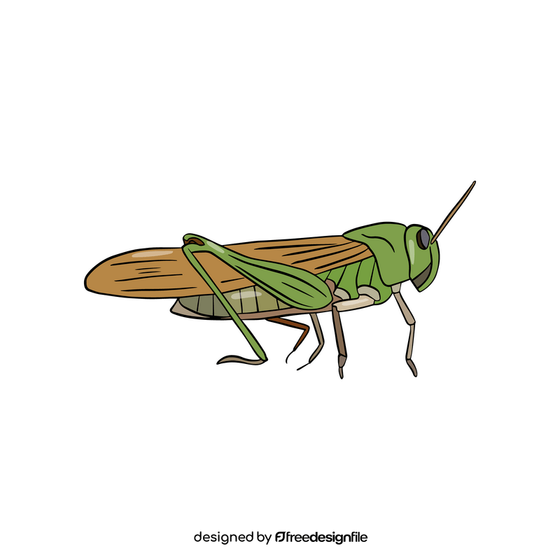 Green locust clipart