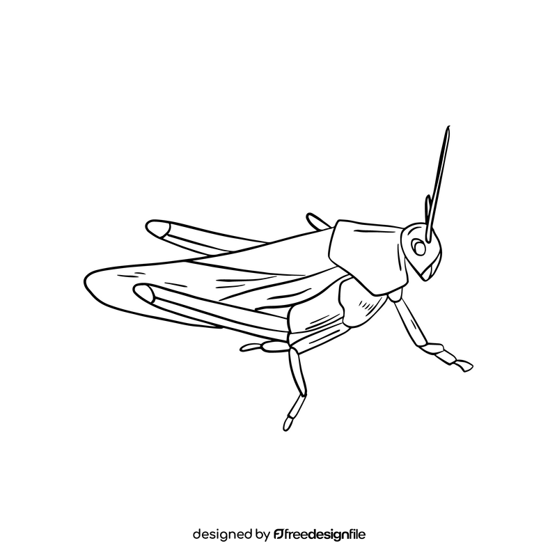 Free locust illustration black and white clipart