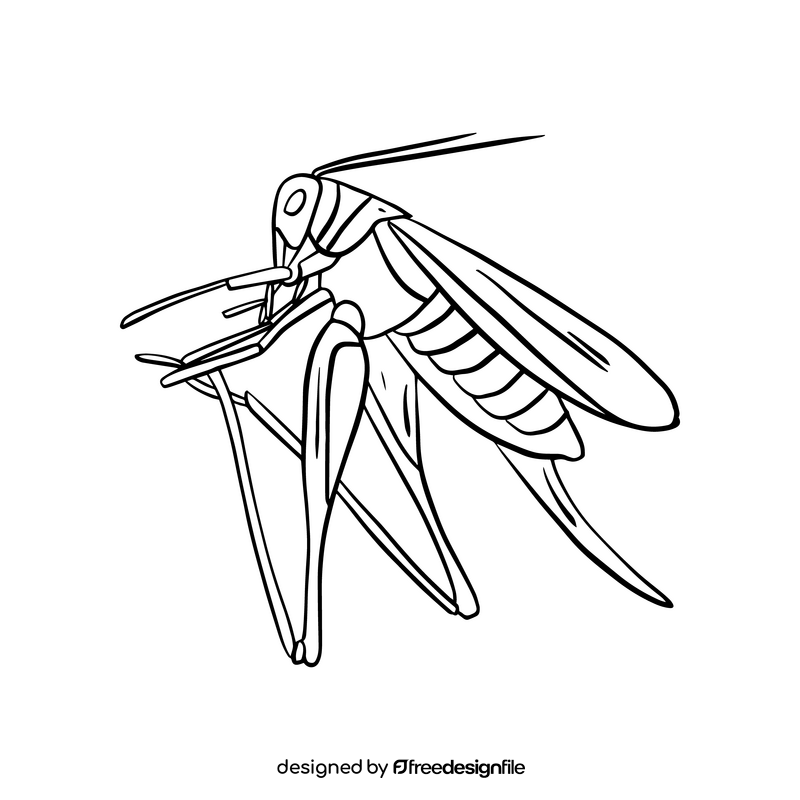 Locust cartoon black and white clipart