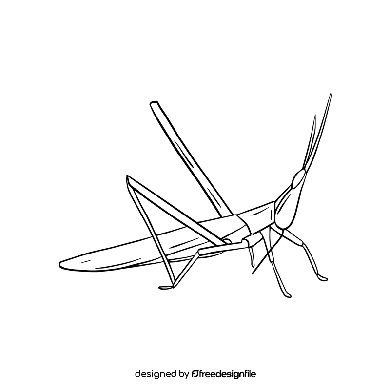 Locust black and white clipart