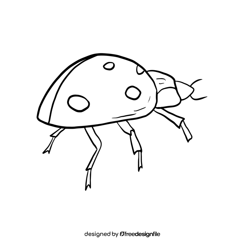 Ladybug drawing black and white clipart