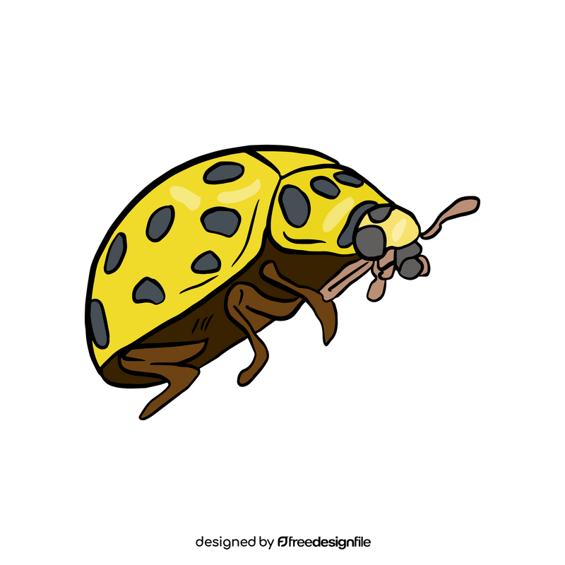 Yellow ladybug drawing clipart