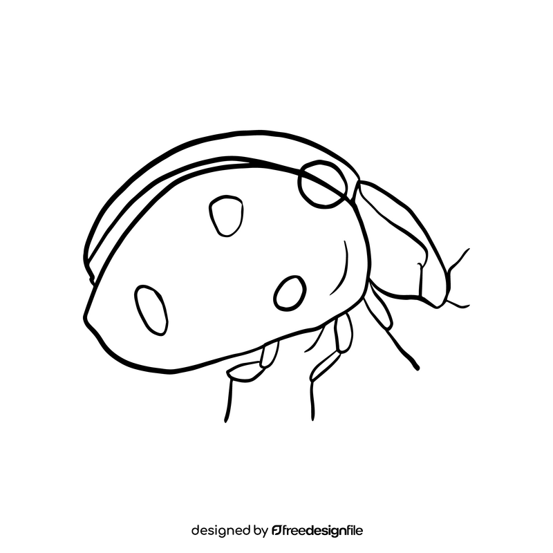 Ladybug black and white clipart