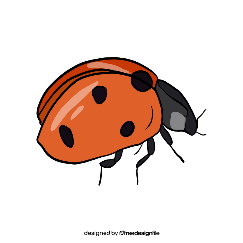Ladybug clipart