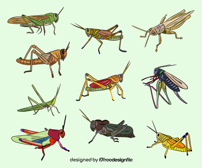 Locust vector