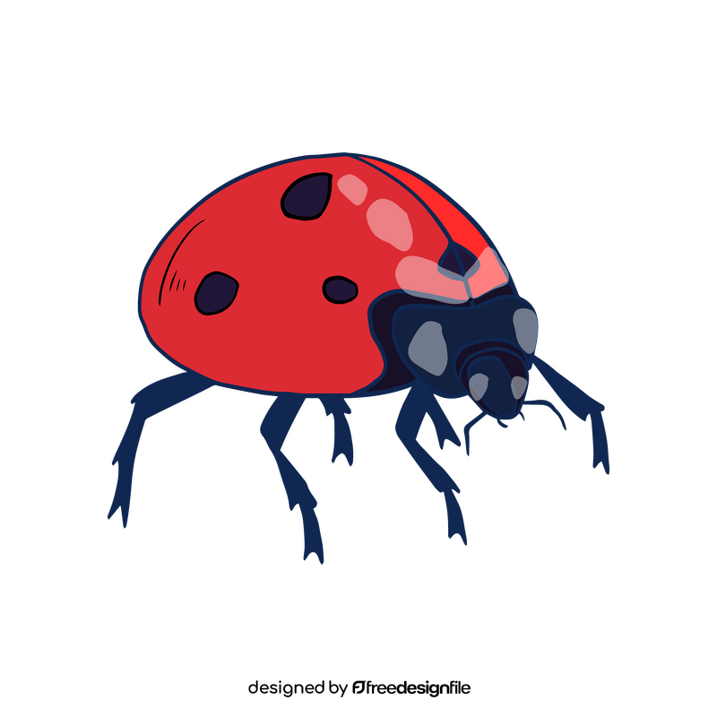 Ladybug illustration clipart