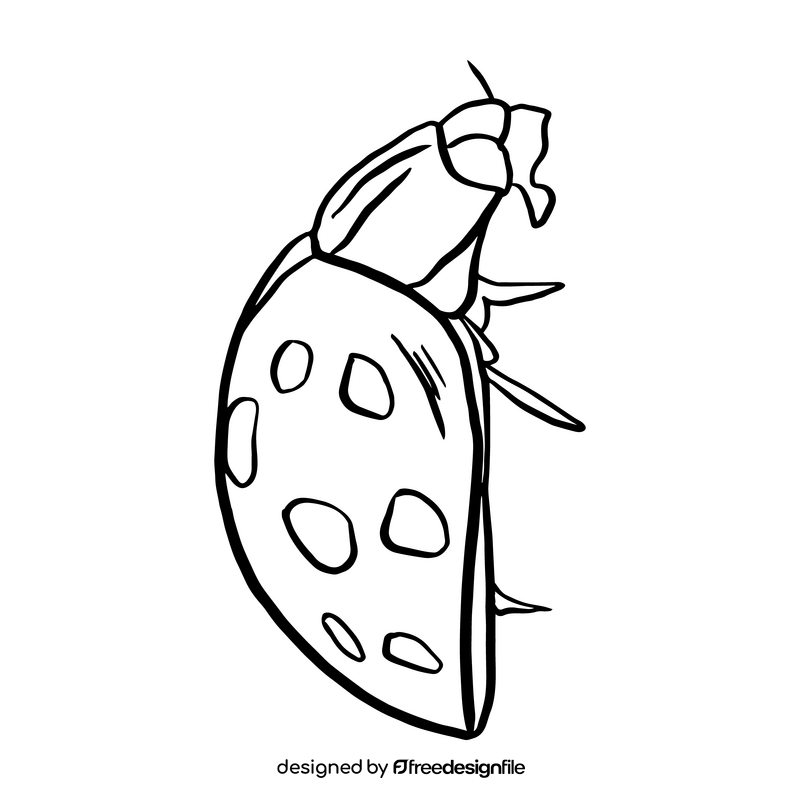 Ladybug black and white clipart