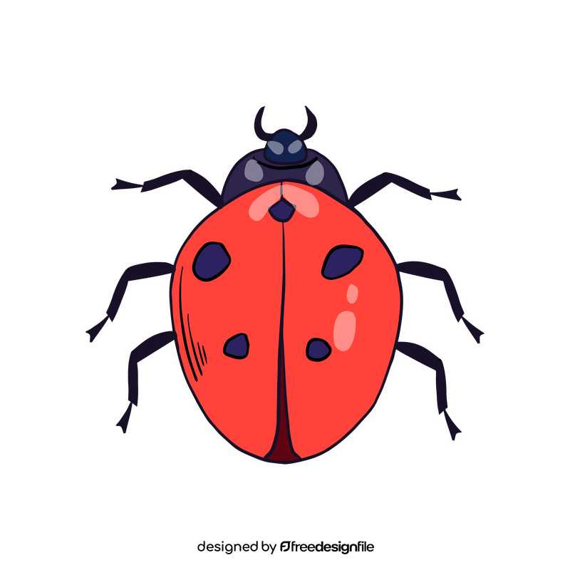 Ladybug clipart