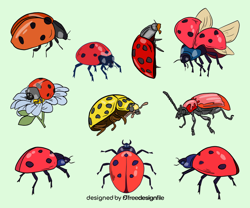 Ladybugs vector