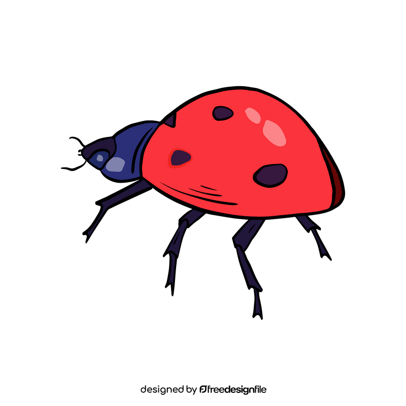 Ladybug drawing clipart
