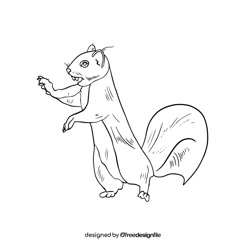 Cute squirrel drawing black and white clipart