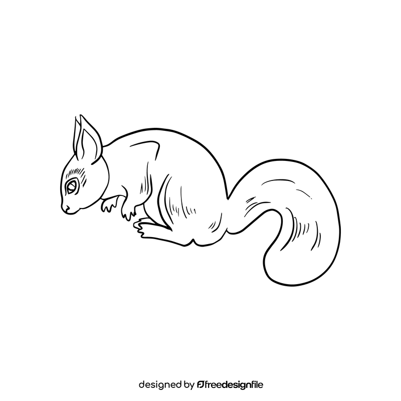 Squirrel cartoon black and white clipart