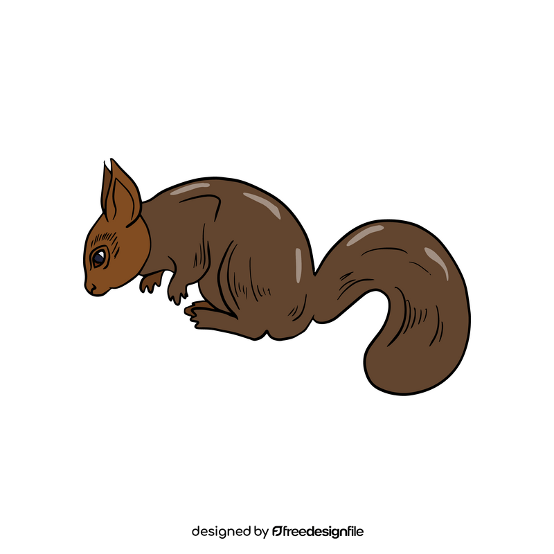 Squirrel cartoon clipart
