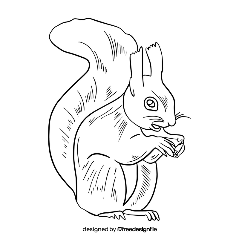 Free squirrel illustration black and white clipart