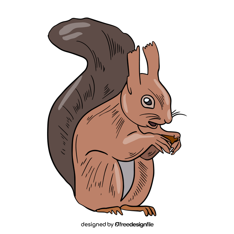 Free squirrel illustration clipart