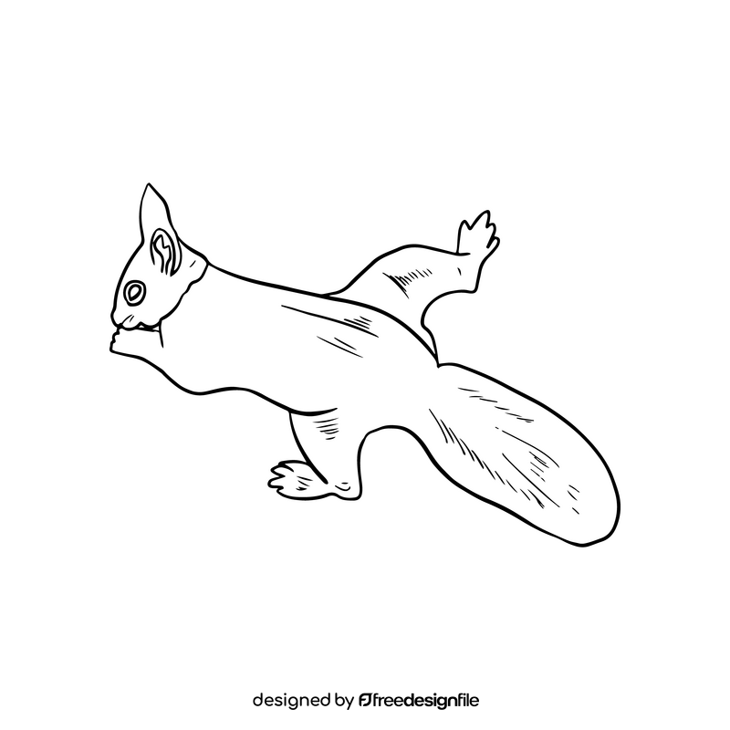 Squirrel black and white clipart