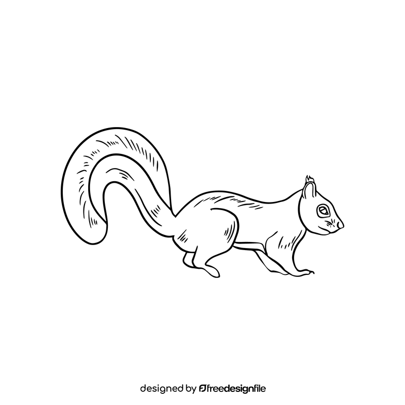 Squirrel cartoon black and white clipart