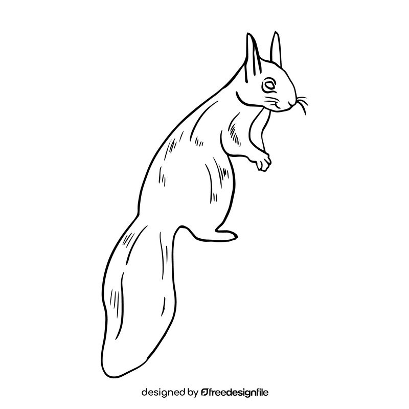 Squirrel black and white clipart