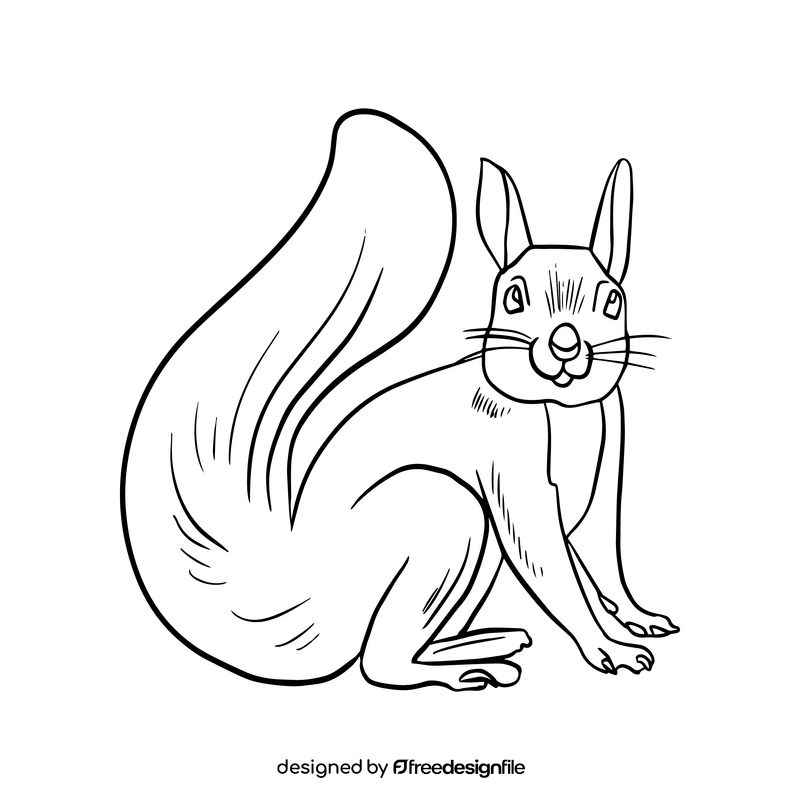 Cute squirrel black and white clipart