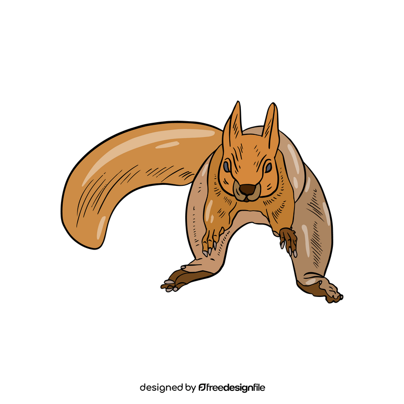 Squirrel clipart