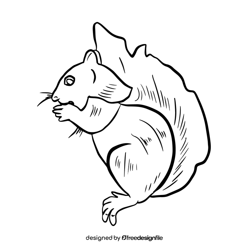 Cartoon squirrel black and white clipart