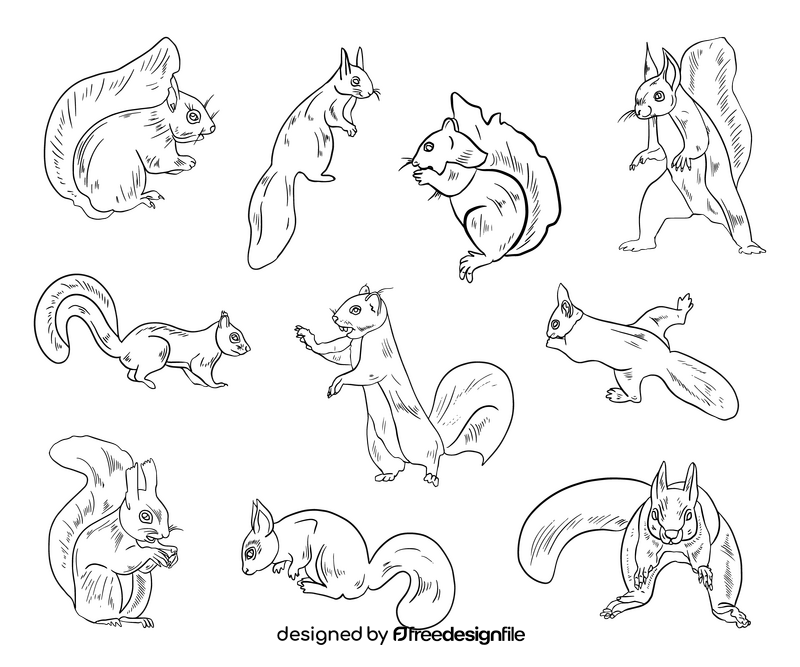 Squirrels black and white vector