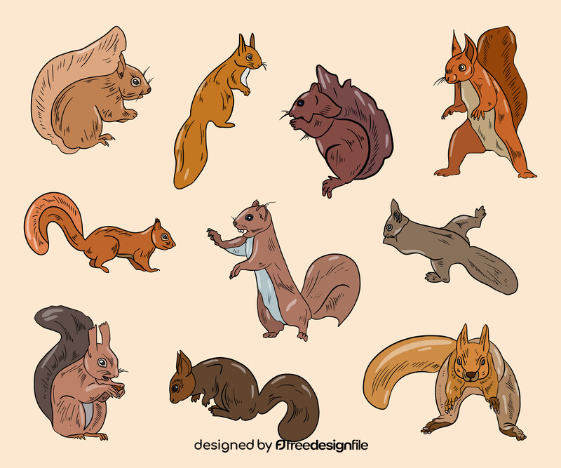 Squirrels vector