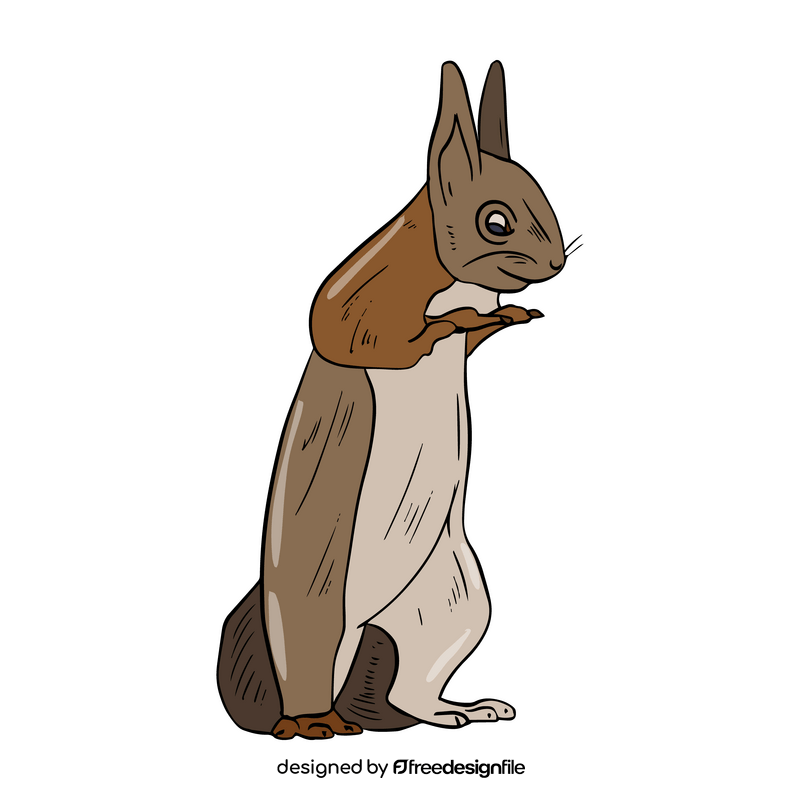 Squirrel drawing clipart