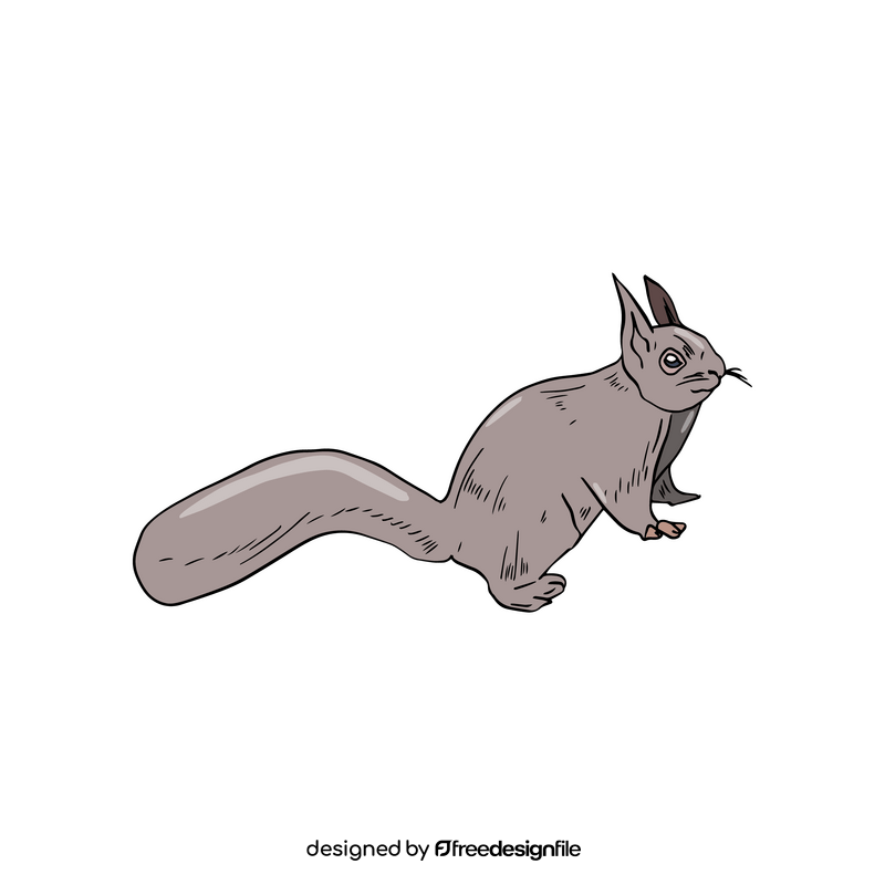 Gray squirrel drawing clipart