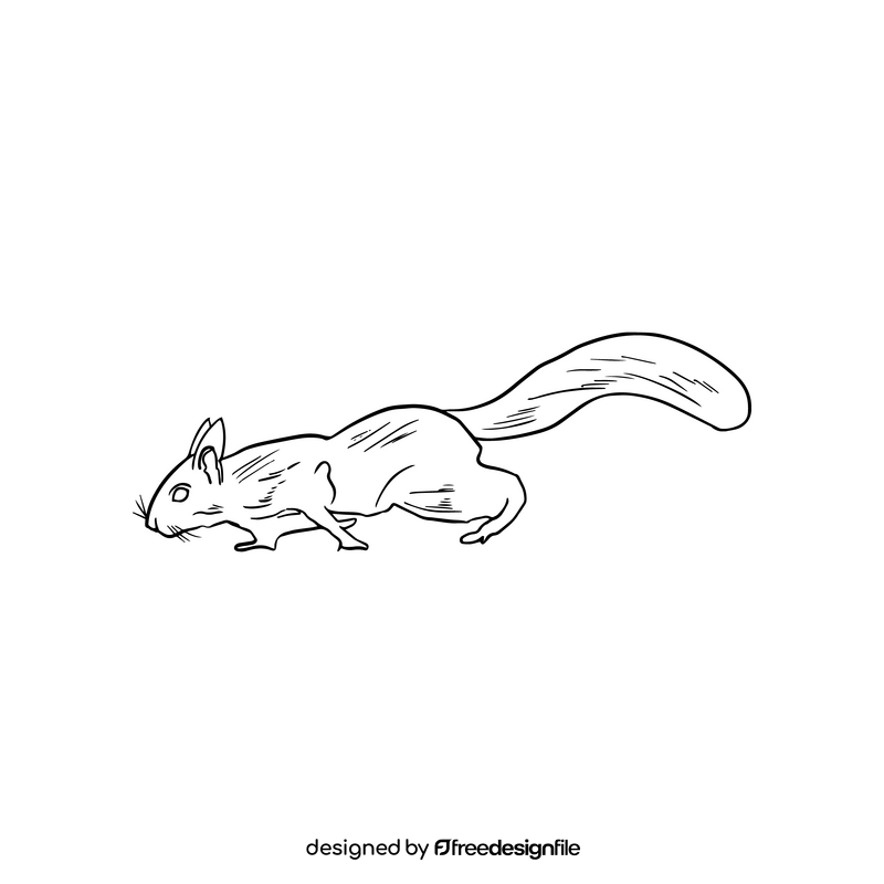 Squirrel illustration black and white clipart