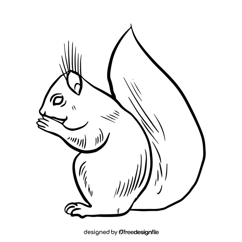 Squirrel black and white clipart