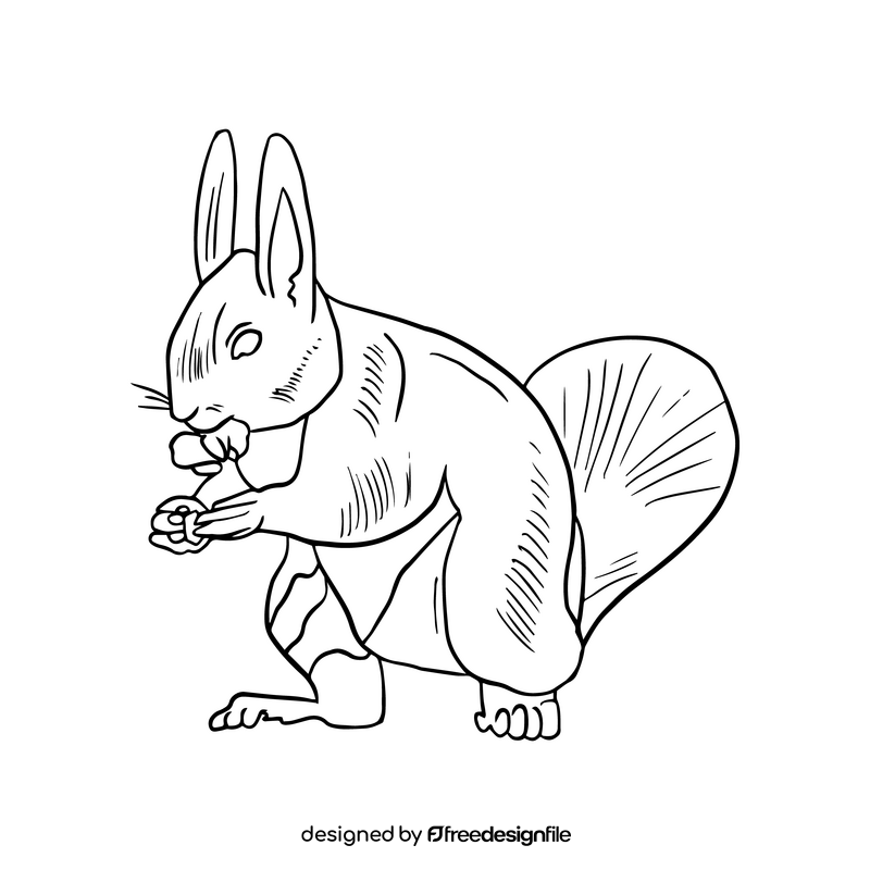 Cute squirrel cartoon black and white clipart