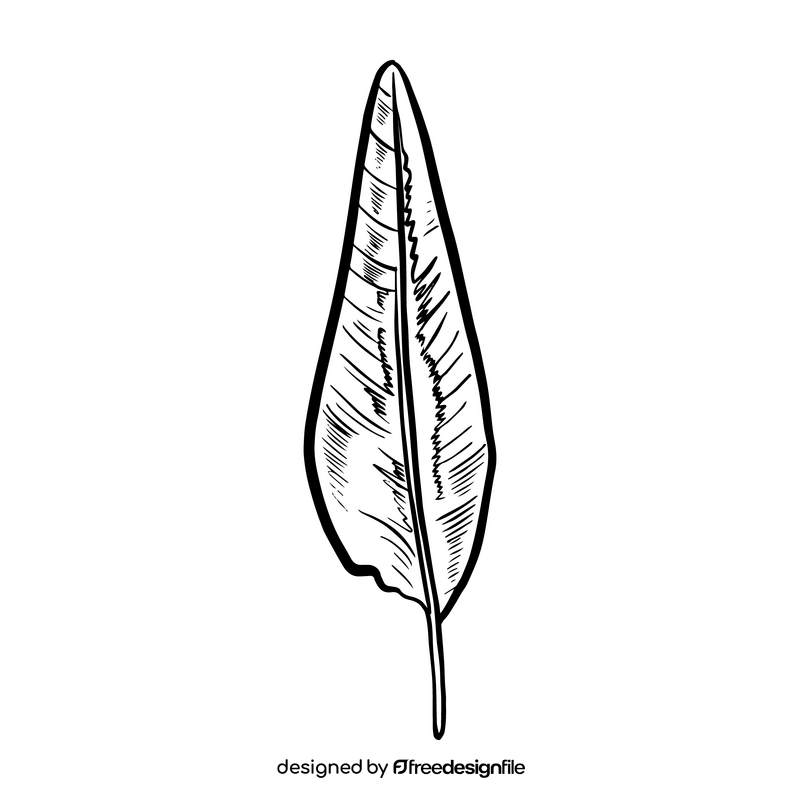 Tropical leaves black and white clipart