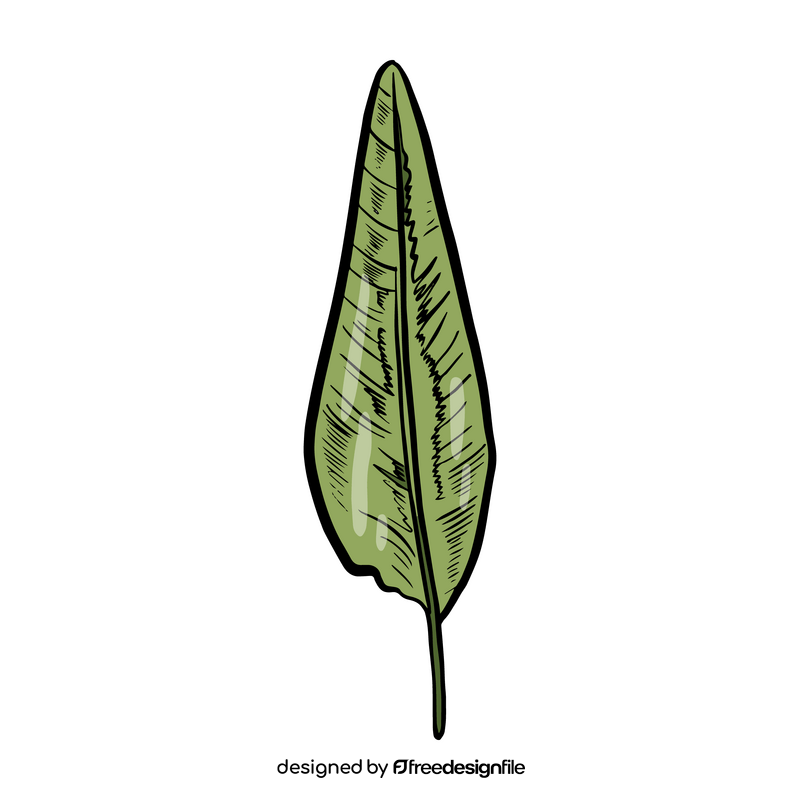 Tropical leaves clipart
