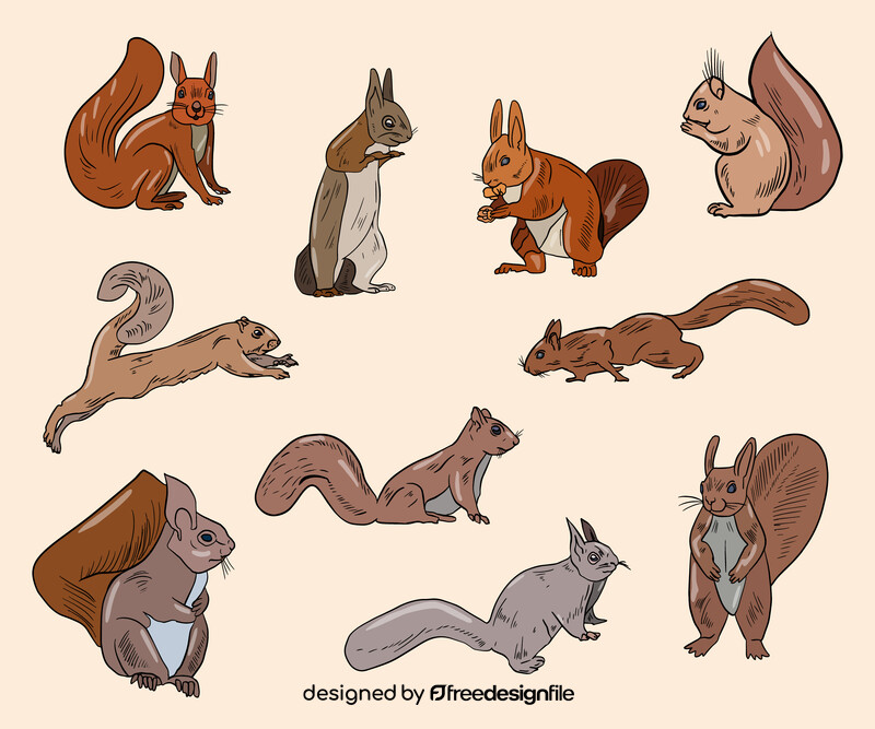 Cute squirrels vector