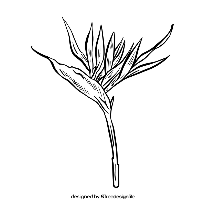 Tropical leaf black and white clipart