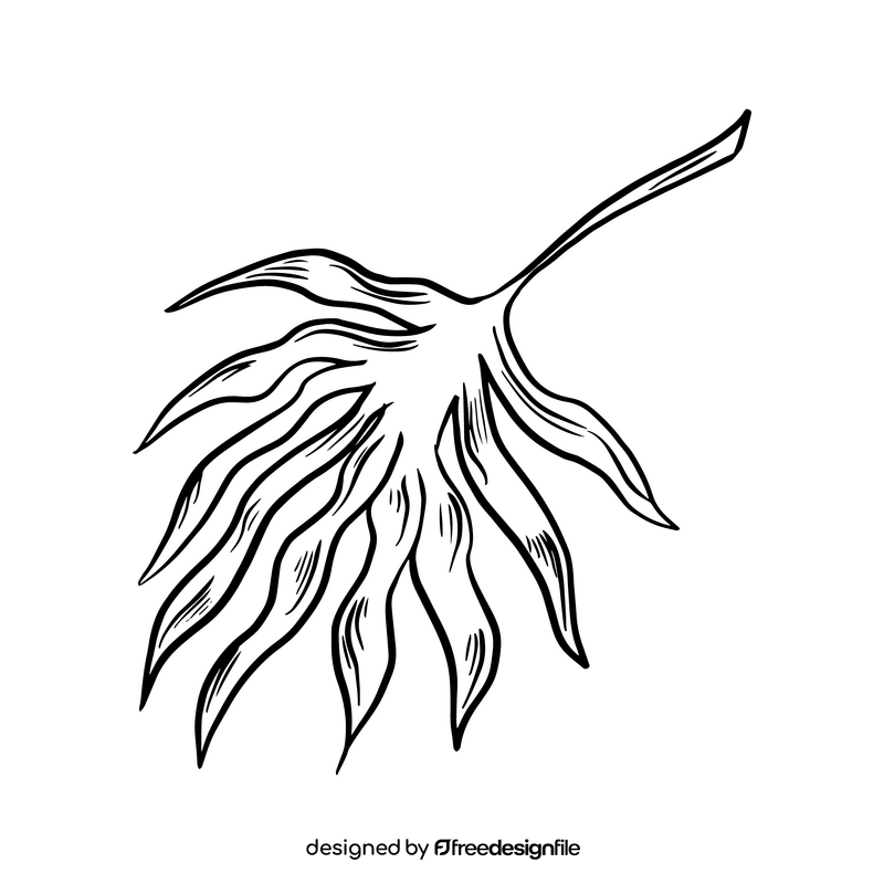 Tropical leaf black and white clipart