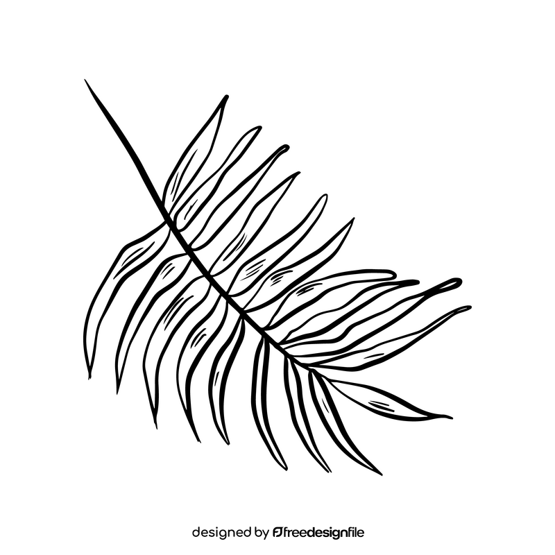 Tropic leaf drawing black and white clipart