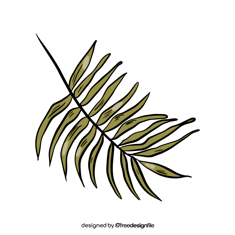 Tropic leaf drawing clipart