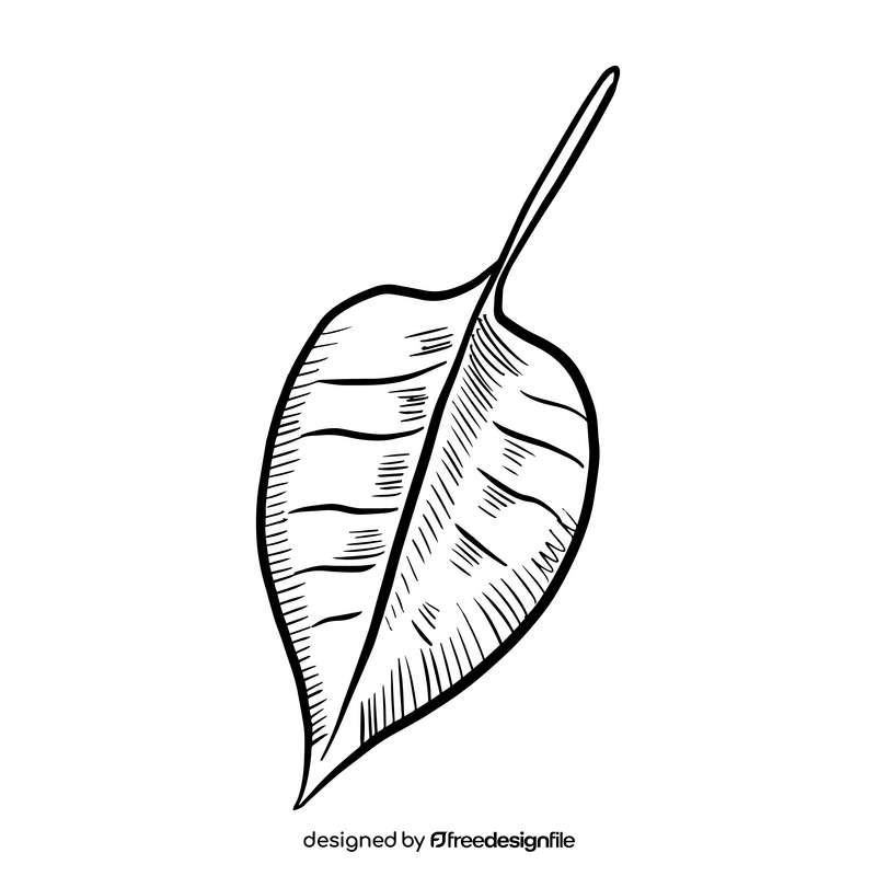 Free tropic leaf black and white clipart