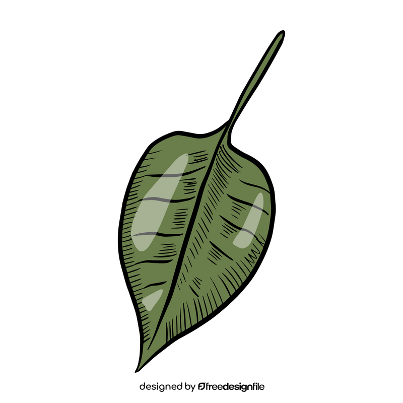 Free tropic leaf clipart