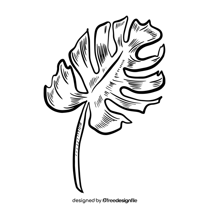 Leaf black and white clipart