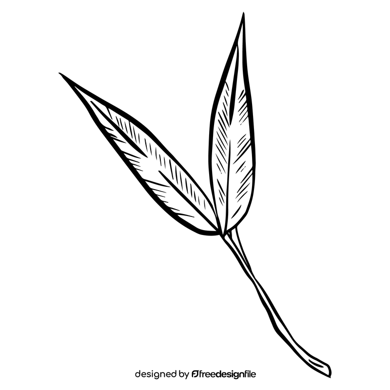 Leaves cartoon black and white clipart