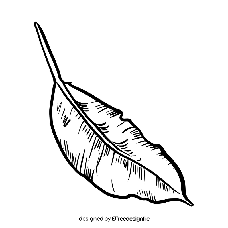 Leaf drawing black and white clipart
