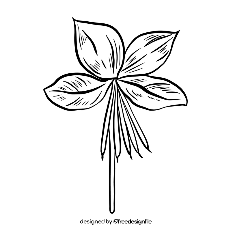 Leaves drawing black and white clipart