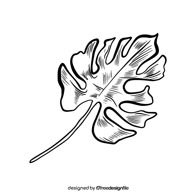 Tropical leaves illustration black and white clipart