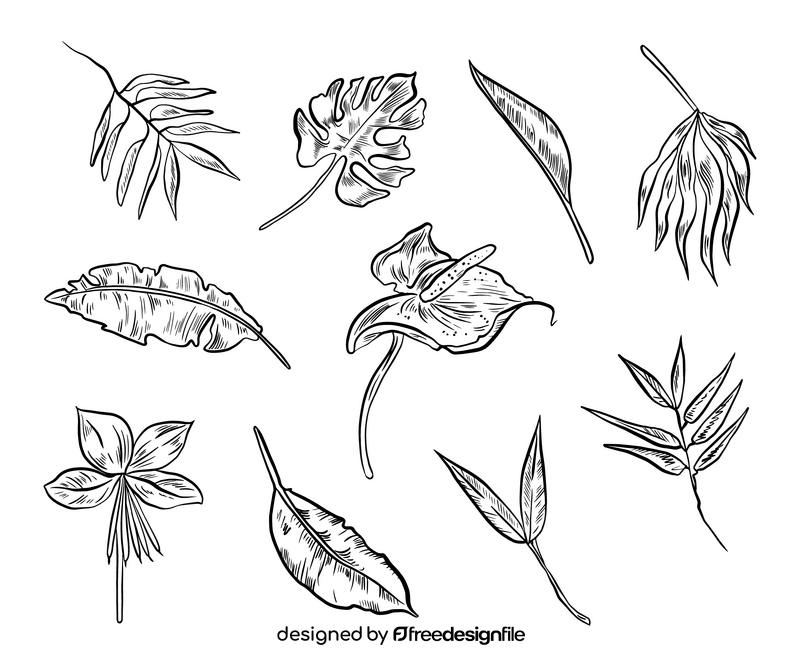 Tropical leaves black and white vector