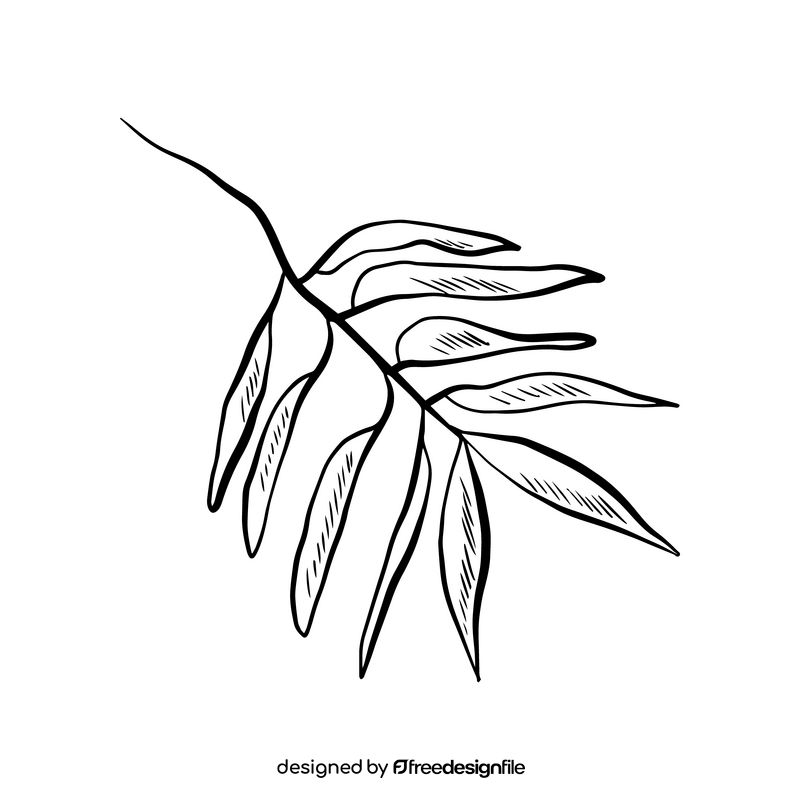 Tropical leaf illustration black and white clipart